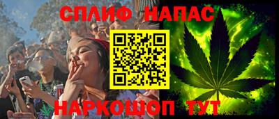 индика Заводоуковск