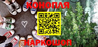 индика Заводоуковск