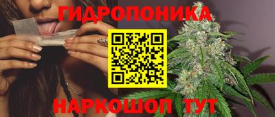 индика Заводоуковск