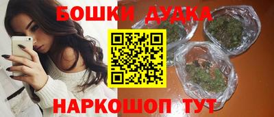индика Заводоуковск