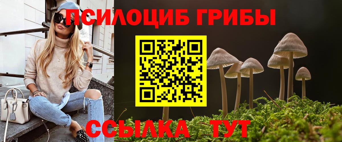 Галлюциногенные грибы прущие грибы Ливны