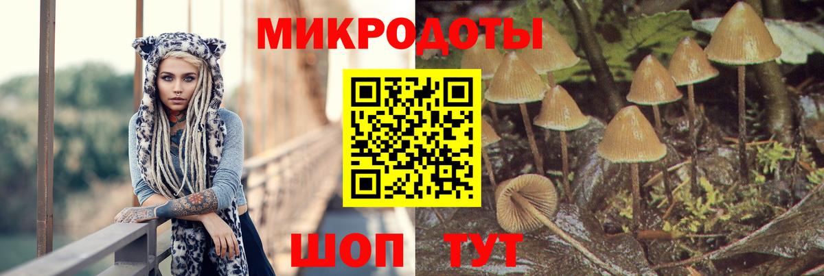 Псилоцибиновые грибы Cubensis  Псилоцибиновые грибы Psilocybe  Вход с VPN  Ливны 